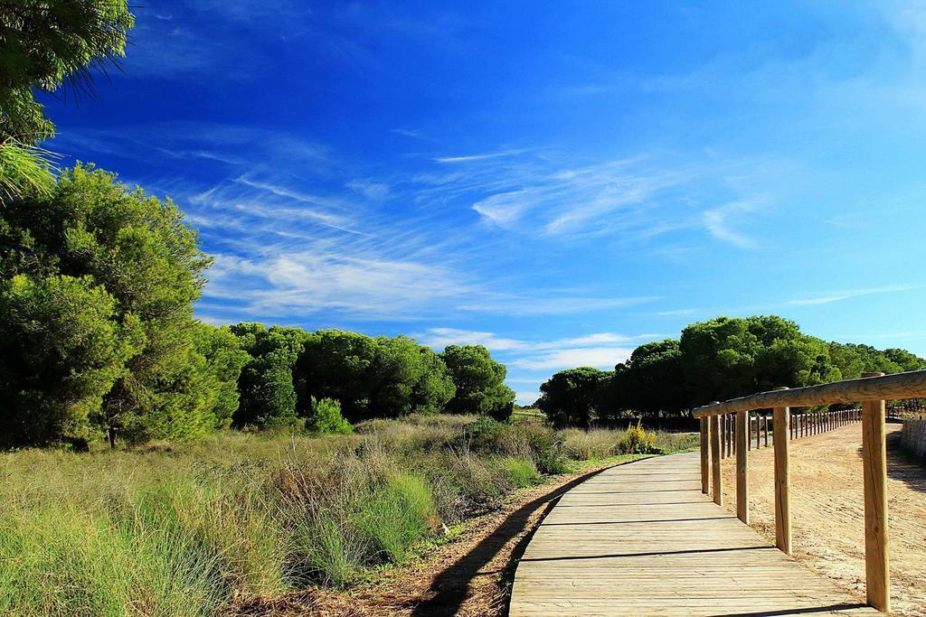 La Siesta Apartment Torrevieja Cameră foto